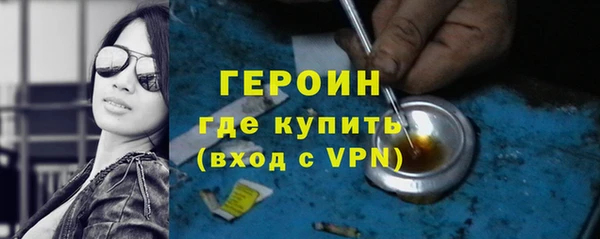 шишки Лабытнанги