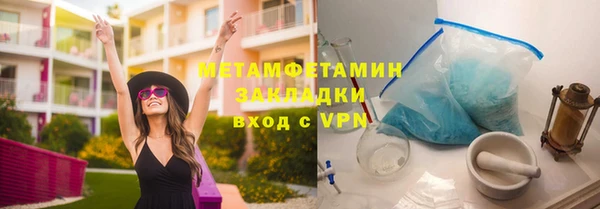 шишки Лабытнанги