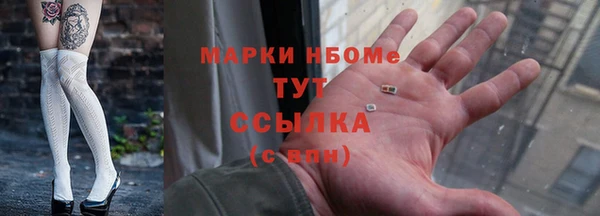 шишки Лабытнанги