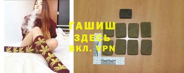 шишки Лабытнанги