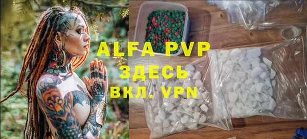 шишки Лабытнанги