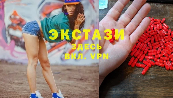 шишки Лабытнанги