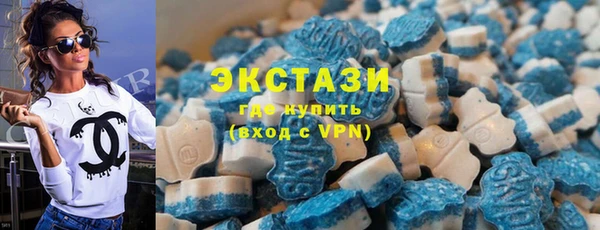 шишки Лабытнанги