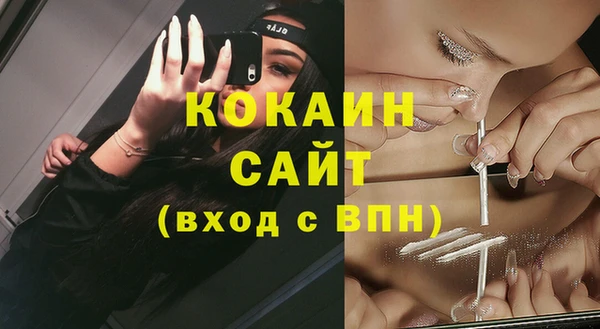 шишки Лабытнанги