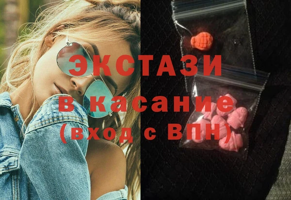 шишки Лабытнанги