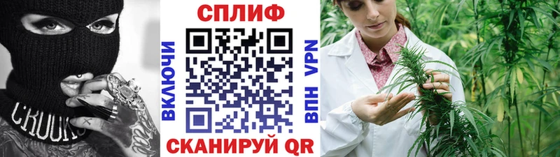 hydra зеркало  Городище  Каннабис сатива  где купить наркотик 